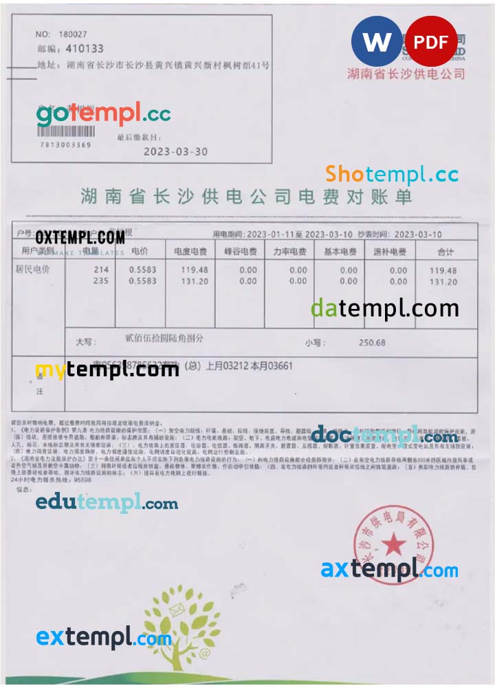 CHINA STATE POWER GRID utility bill Word and PDF template